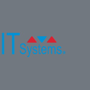 IT Systems IT Systems